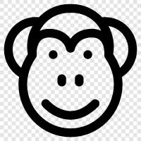 ape, simian, siamang, baboon icon svg