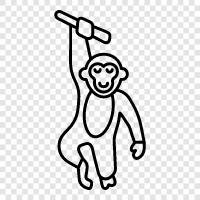 ape, primate, simian, monkey brain icon svg