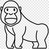 ape, silverback, black, white icon svg