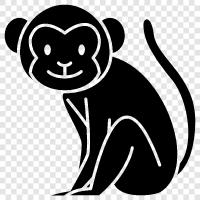 ape, primate, baboon, macaque icon svg