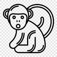 ape, primate, simian, monkey brain icon svg