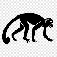 ape, primate, simian, lemur icon svg