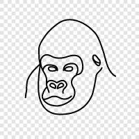ape, silverback, conservation, habitat icon svg