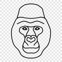 apes, primates, silverback, blackback icon svg