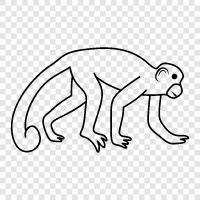 apes, baboon, macaque, gibbon icon svg