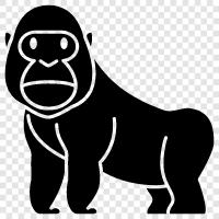 apes, monkeys, silverback, blackback icon svg