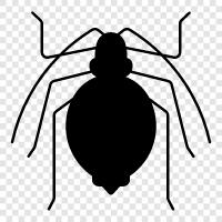 aphids, pest, insect, plant icon svg