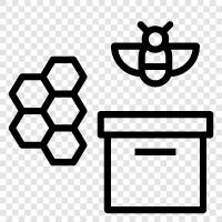 apiary, beekeeping, beehive, honey icon svg