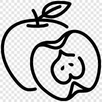 apple, fruit, fresh, healthy icon svg