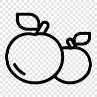 elma, elmalı turta, elma sosu, elma aroması ikon svg