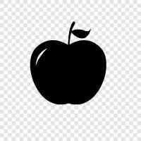 apple phone, apple computer, apple products, apple store icon svg