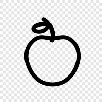 Apple products, iPhone, iPad, Apple Watch icon svg