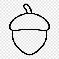 Apple, computer, education, software icon svg