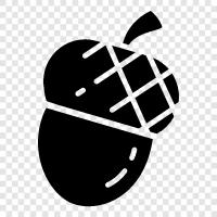 Apple, Bilgisayarlar, Donanım, Laptops ikon svg