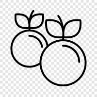 Apfel, Apfelcider, Apfelsauce, Apfelkuchen symbol