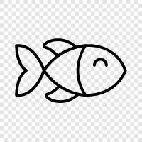 aquaculture, agriculture, fishing, ichthy icon svg