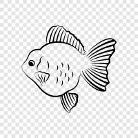 aquarium, fish, pet, freshwater icon svg