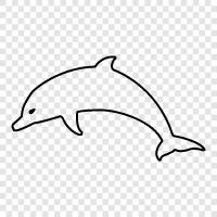 aquarium, cetacean, marine, sea icon svg