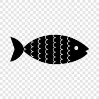 aquarium, salt, fresh, cooking icon svg