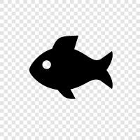 aquarium, salt, fresh, clean icon svg