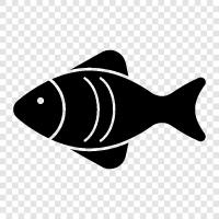 Aquarium, Freshwater, Saltwater, Cichlid icon svg