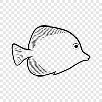 Aquarium Fish icon