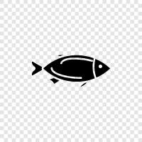 aquarium, cichlid, salt, freshwater icon svg