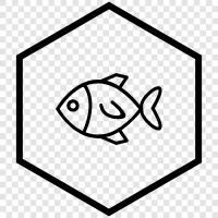 aquarium, salt, fresh water, cichlid icon svg