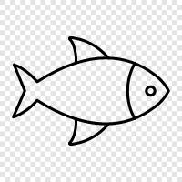 Aquarium, Freshwater, Saltwater, Cichlid icon svg