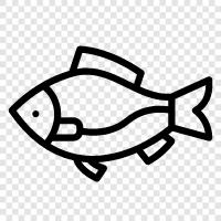 Aquarium, Fish Tank, Fish Feed, Aquarium Fish icon svg