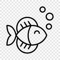 Aquarium, Freshwater, Saltwater, Cichlid icon svg