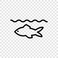 Aquarium, Freshwater, Saltwater, Fish Tank icon svg