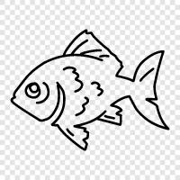 Aquarium, Fishtank, Fish food, Fish health icon svg