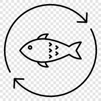 Aquarium, Cichliden, Wels, Tilapia symbol