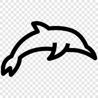 Aquarium, Pets, Fun, Dolphin icon svg