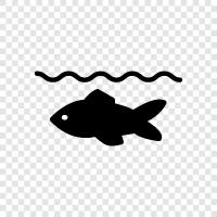 Aquariums, Fish tank, Fish food, Fish diseases icon svg