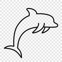 aquatic mammal, cetacean, fish, hunting icon svg