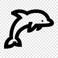 aquatic mammals, cetaceans, conservation, endangered icon svg