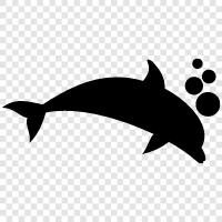 Aquatic, Enthusiastic, Cute, Dolphin icon svg