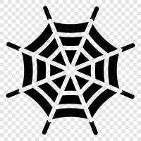 arachnid, creepy, eight legged, hairy icon svg