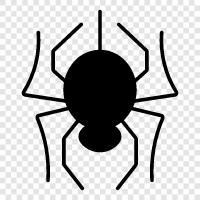 arachnid, spiderman, arachnophobia, spiderwoman icon svg