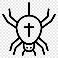 arachnid, spiderlings, crab spider, jumping spider icon svg