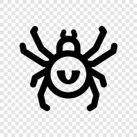 arachnid, gruselig, gefährlich, kriechen symbol