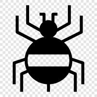 arachnid, örümcek adam, örümcek kadın, örümcekler ikon svg