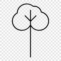 Arbor, Foliage, Branch, Leaf icon svg