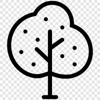 Arbor, Foliage, Leaf, Branch icon svg