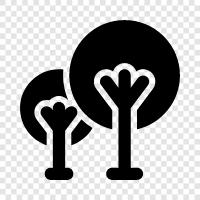Arbor, Foliage, Leaf, Branch icon svg