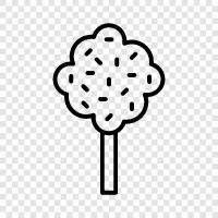 Arbor, Foliage, Branch, Roots icon svg