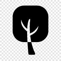 arbor, bough, branch, twig icon svg