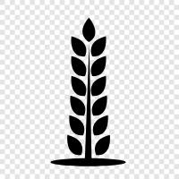 Arbor, Foliage, Leaves, Growth icon svg